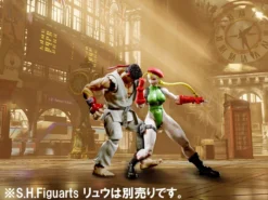 Bandai S.H.Figuarts Street Fighter V Cammy -Bandai 178f18a4aa7e41e6b039a2f7c77a0b8c.jpg