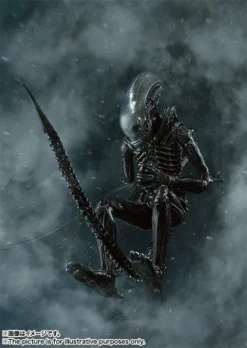 Bandai S.H.MonsterArts Alien Big Chap -Bandai 18d9d09593c447f2b1027a4ce73eedb4.jpg