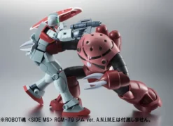 Bandai Robot Spirits Mobile Suit Gundam MSM-07S Z'GOK Char's Custom Model Ver. A.N.I.M.E. -Bandai 5c5045ca5fcd4ebabf49a188e1304421.jpg