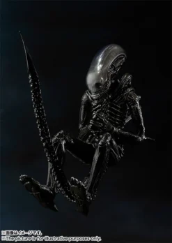 Bandai S.H.MonsterArts Alien Big Chap -Bandai 5c9bef1019b84e56af5c12f5b020b6a1.jpg