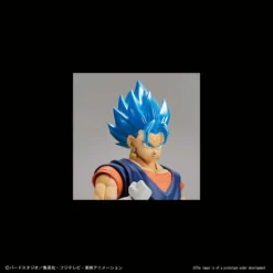 Bandai Figure-rise Standard Dragon Ball Z Super Saiyan Blue Vegetto -Bandai f319cc7a21bd4c94a20bf8dd56305f34.jpg